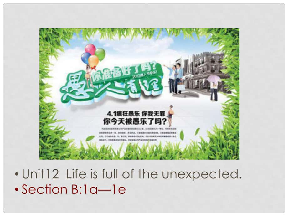 課時奪冠九年級英語全冊 Unit 12 Life is full of the unexpected（第4課時）Section B（1a1e）課件 （新版）人教新目標版_第1頁