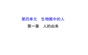 七年級生物下冊 第四單元 第一章 人的由來課件 （新版）新人教版