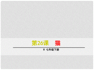 浙江省紹興縣楊汛橋鎮(zhèn)中學(xué)七年級語文下冊 第26課《貓》課件 新人教版