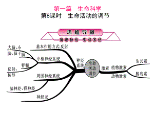 浙江省中考科學(xué)第一輪總復(fù)習(xí) 第一篇 生命科學(xué) 第8課時(shí) 生命活動(dòng)的調(diào)節(jié)課件