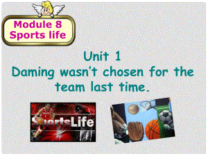 浙江省平陽縣昆陽鎮(zhèn)第二中學九年級英語上冊 Module 8 Sports life Unit 1 Daming wasn’t chosen for the team last time課件 （新版）外研版