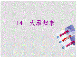 教與學 新教案八年級語文下冊 第三單元 14《大雁歸來》課件 （新版）新人教版