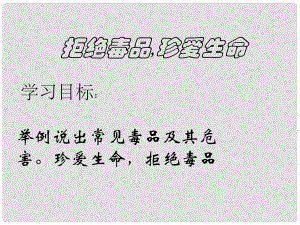 湖南醴陵東富中學八年級生物下冊 第10單元 第26章 第二節(jié) 拒絕毒品珍愛生命課件 蘇教版