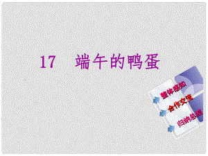 教與學 新教案八年級語文下冊 第四單元 17《端午的鴨蛋》課件 （新版）新人教版