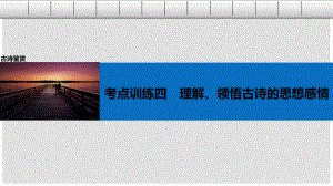 高考語(yǔ)文一輪復(fù)習(xí) 第二章 古詩(shī)鑒賞 考點(diǎn)訓(xùn)練四 理解、領(lǐng)悟古詩(shī)的思想感情課件 新人教版