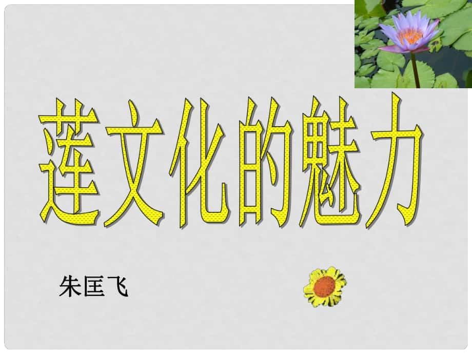 广东省汕尾市陆丰市民声学校八年级语文上册 第五单元 综合性学习《莲文化的魅力》课件 新人教版_第1页