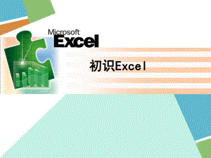 《初识Excel》课件