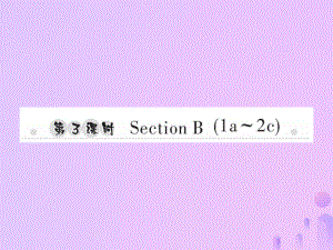 七年級英語上冊 Unit 3 Is this your pencil（第3課時）Section B（1a-2c）習題 （新版）人教新目標版