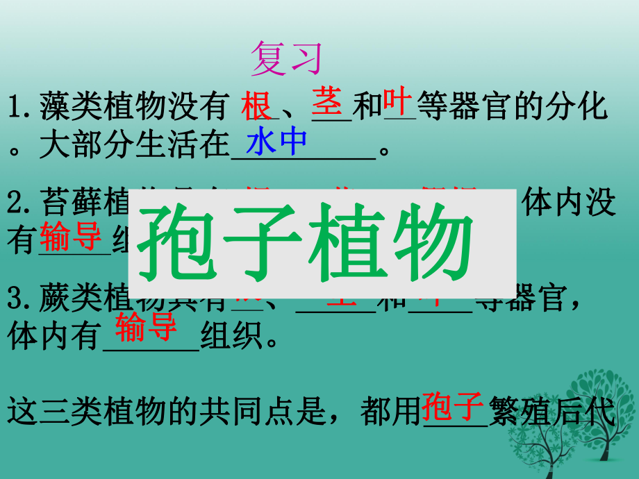 七年級生物上冊 312 種子植物課件 新版新人教版_第1頁