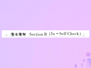 七年級(jí)英語(yǔ)上冊(cè) Unit 2 This is my sister（第4課時(shí)）Section B（3a-Self Check）習(xí)題 （新版）人教新目標(biāo)版