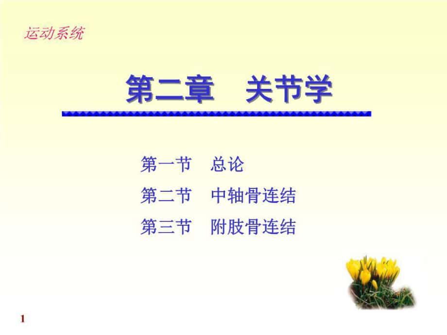 《解剖學(xué)關(guān)節(jié)學(xué)》PPT課件.ppt_第1頁(yè)