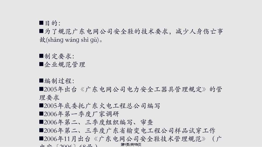 广东电网公司安全鞋技术标准宣贯安监部实用教案_第1页