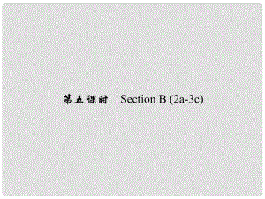 原七年級英語下冊 Unit 7 It's raining（第5課時）Section B(2a3c)習題課件 （新版）人教新目標版