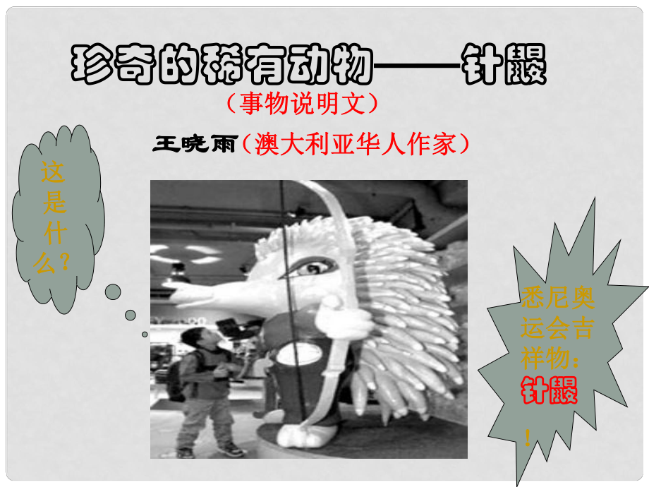 湖南省耒陽市冠湘學(xué)校七年級語文下冊 20《珍奇的稀有動物針鼴》課件 語文版_第1頁