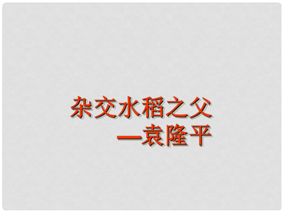 八年級語文上冊 第二單元 8《雜交水稻之父——袁隆平》課件2 （新版）語文版_第1頁