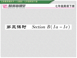 七年級英語下冊 Unit 6 I'm watching TV（第3課時）Section B（1a1e）習(xí)題課件 （新版）人教新目標(biāo)版