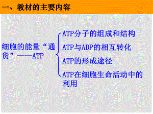 高中生物 第五章 細胞的能量供應(yīng)和利用 第二節(jié) 細胞的能量通貨ATP課件 新人教版必修1