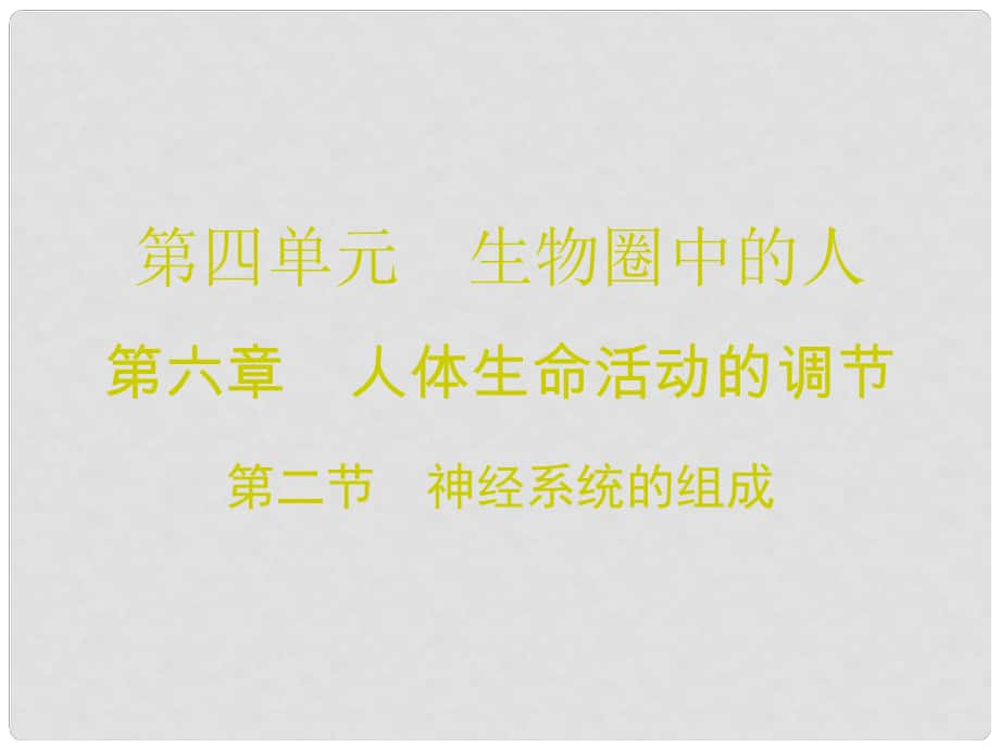 廣東學(xué)導(dǎo)練七年級生物下冊 第六章 第二節(jié) 神經(jīng)系統(tǒng)的組成課件 （新版）新人教版_第1頁