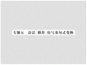 中考語文 第一部分 積累與應(yīng)用 專題五 語法、修辭、仿寫及句式變換課件