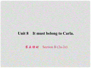 原九年級(jí)英語(yǔ)全冊(cè) Unit 8 It must belong to Carla（第5課時(shí)）Section B（2a2e）習(xí)題課件 （新版）人教新目標(biāo)版