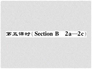 七年級英語下冊 Unit 9 What does he look like（第5課時）Section B（2a2c）作業(yè)課件 （新版）人教新目標版