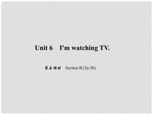 原七年級英語下冊 Unit 6 I'm watching TV（第5課時）Section B(2a3b)習題課件 （新版）人教新目標版