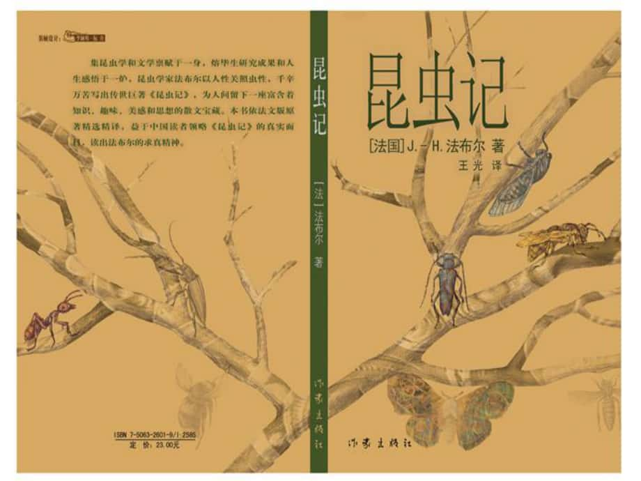 湖北省宜昌市第十六中學(xué)七年級語文上冊 第23課《綠色蟈蟈》課件 （新版）新人教版_第1頁