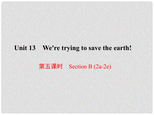 原九年級(jí)英語全冊(cè) Unit 13 We're trying to save the earth（第5課時(shí)）Section B（2a2e）課件 （新版）人教新目標(biāo)版