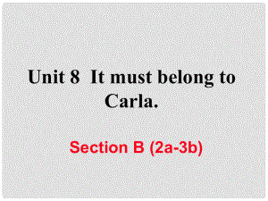 九年级英语全册 Unit 8 It must belong to Carla Section B（2a3b）练习课件 （新版）人教新目标版