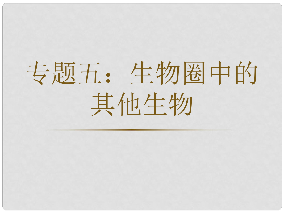 內(nèi)蒙古鄂爾多斯市康巴什新區(qū)第二中學八年級生物下冊 第二輪復習 專題五 生物圈中的其他生物課件 新人教版_第1頁