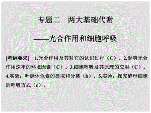 高考生物二輪復習 第二單元 生命系統(tǒng)的代謝基礎 專題二 兩大基礎代謝——光合作用和細胞呼吸課件