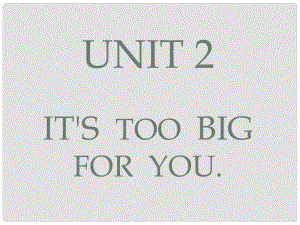 五年級英語下冊 Module 5 Unit 2《It’s too big for you》課件2 （新版）外研版（三起）