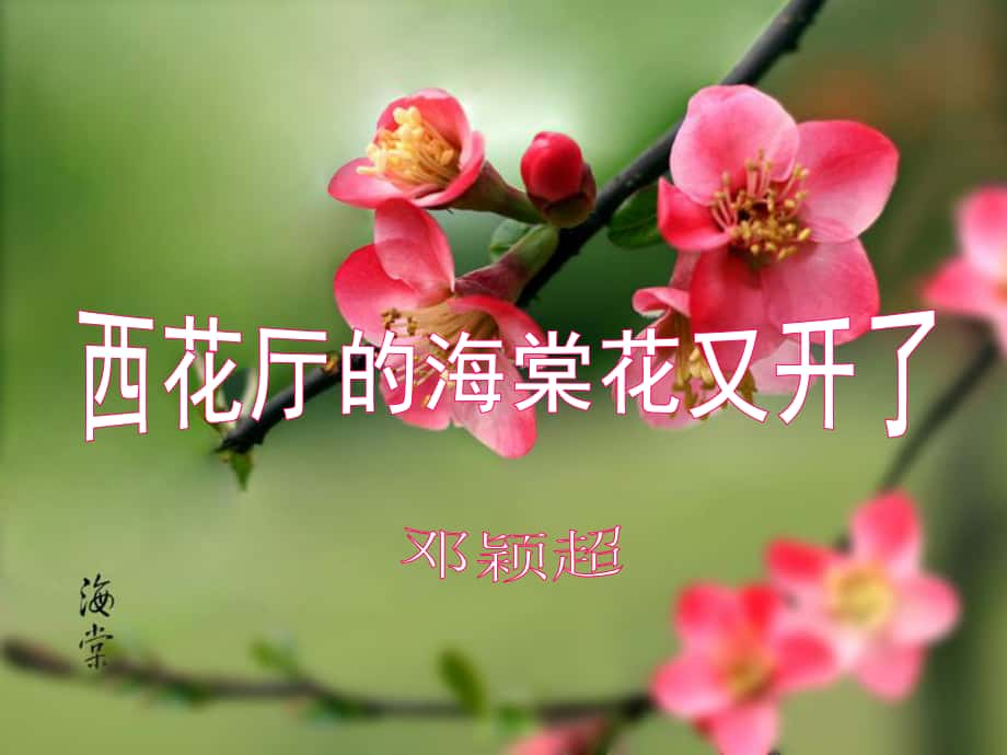 廣東省樂(lè)昌市樂(lè)昌實(shí)驗(yàn)學(xué)校九年級(jí)語(yǔ)文上冊(cè) 3《西花廳的海棠花又開(kāi)了》課件 語(yǔ)文版_第1頁(yè)