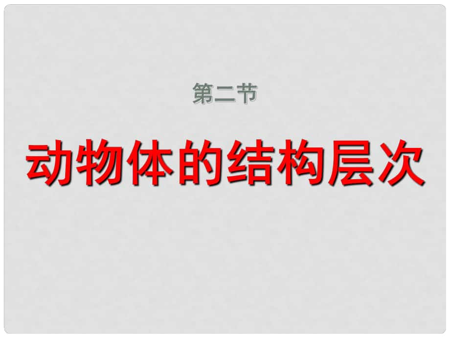 河南省郑州高新技术产业开发区实验中学七年级生物上册 2.2.2 动物体的结构层次课件1 （新版）新人教版_第1页