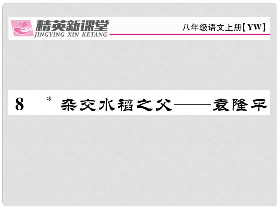 八年級語文上冊 第二單元 8《雜交水稻之父——袁隆平》課件 （新版）語文版_第1頁