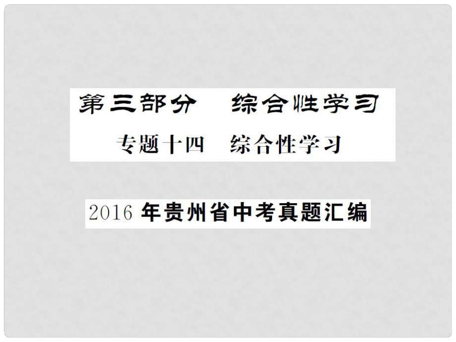 中考语文总复习 专题十四 综合性学习课件1_第1页