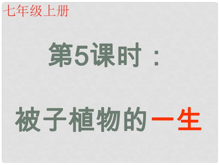 內(nèi)蒙古鄂爾多斯康巴什新區(qū)第一中學(xué)七年級(jí)生物上冊(cè) 第5課時(shí) 被子植物的一生復(fù)習(xí)課件 （新版）新人教版_第1頁(yè)