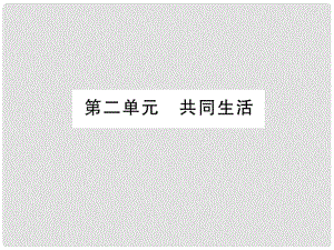 中考政治 教材系統(tǒng)總復(fù)習(xí) 九年級(jí) 第二單元 共同生活課件 人民版