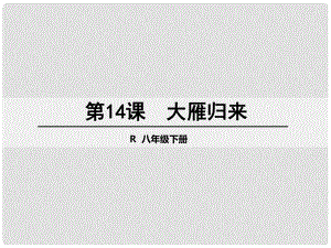 八年級(jí)語(yǔ)文下冊(cè) 14《大雁歸來(lái)》課件 （新版）新人教版