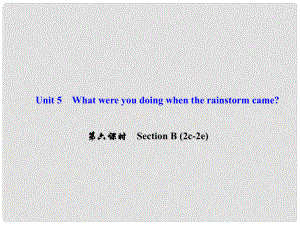 八年級英語下冊 Unit 5 What were you doing when the rainstorm came（第6課時）Section B(2c2e)課件 （新版）人教新目標版