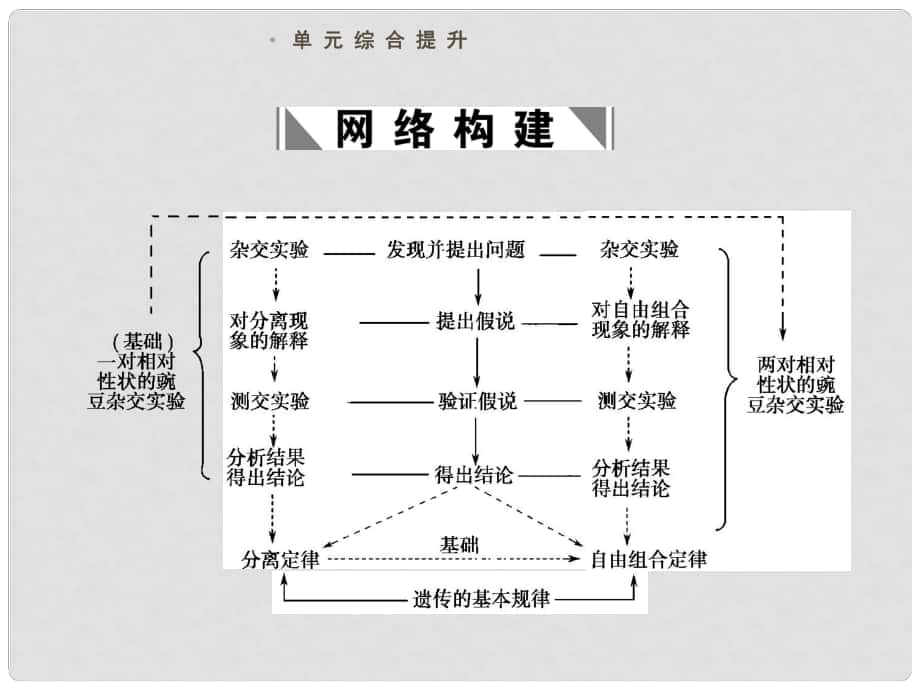 高考生物一輪復(fù)習(xí)課件：必修2 第1章 遺傳因子的發(fā)現(xiàn) 單元綜合提升課件 新人教版必修3_第1頁(yè)