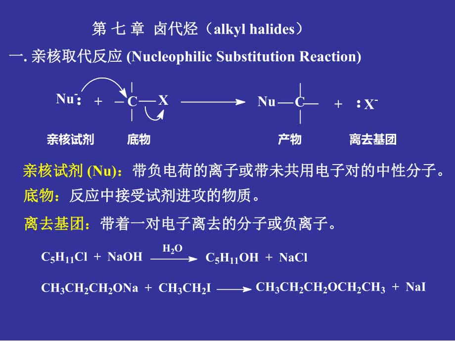 刑其毅有化学卤代烃_第1页