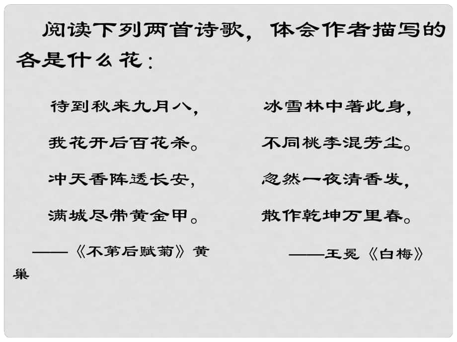 湖北省宜昌市第十六中学八年级语文上册 22《爱莲说》课件 （新版）新人教版_第1页