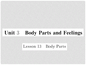 七年級英語上冊 Unit 3 Body Parts and Feelings Lesson 13 Body Parts課件 （新版）冀教版