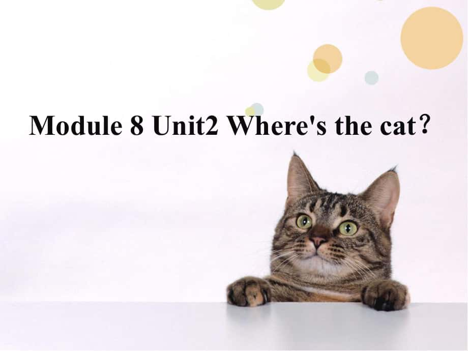 外研版三起三Module 8Unit 2 Where’s the catppt課件1_第1頁