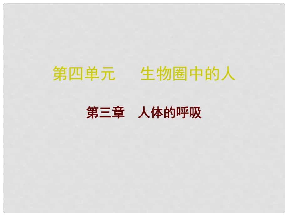 廣東省中考生物 第四單元 第三章 人體的呼吸復(fù)習(xí)課件_第1頁