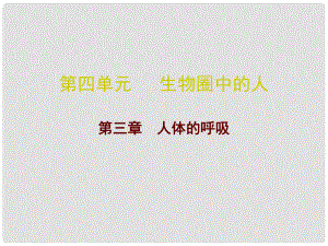 廣東省中考生物 第四單元 第三章 人體的呼吸復(fù)習(xí)課件