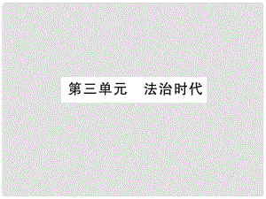 中考政治 教材系統(tǒng)總復(fù)習(xí) 九年級 第三單元 法治時代課件 人民版