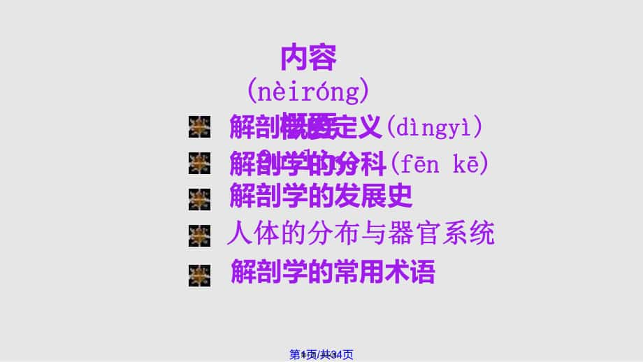 矢状内蒙古民族大学实用教案_第1页