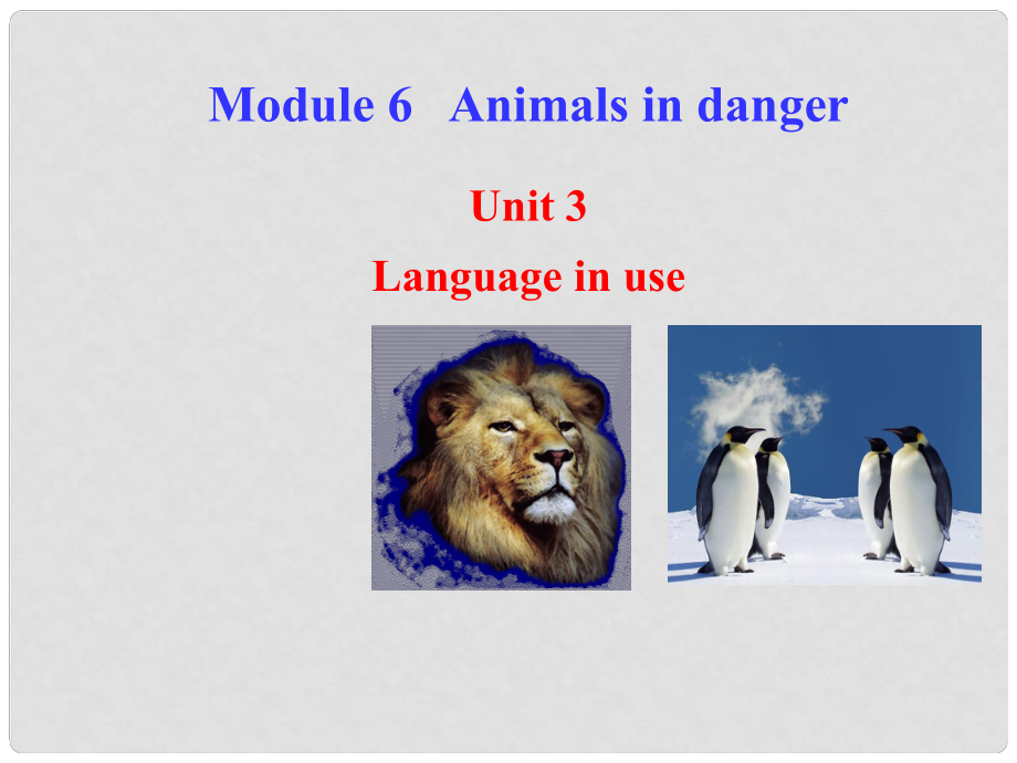 八年級(jí)英語(yǔ)上冊(cè) Module 6 Animals in danger Unit 3 Language in use課件1 （新版）外研版_第1頁(yè)